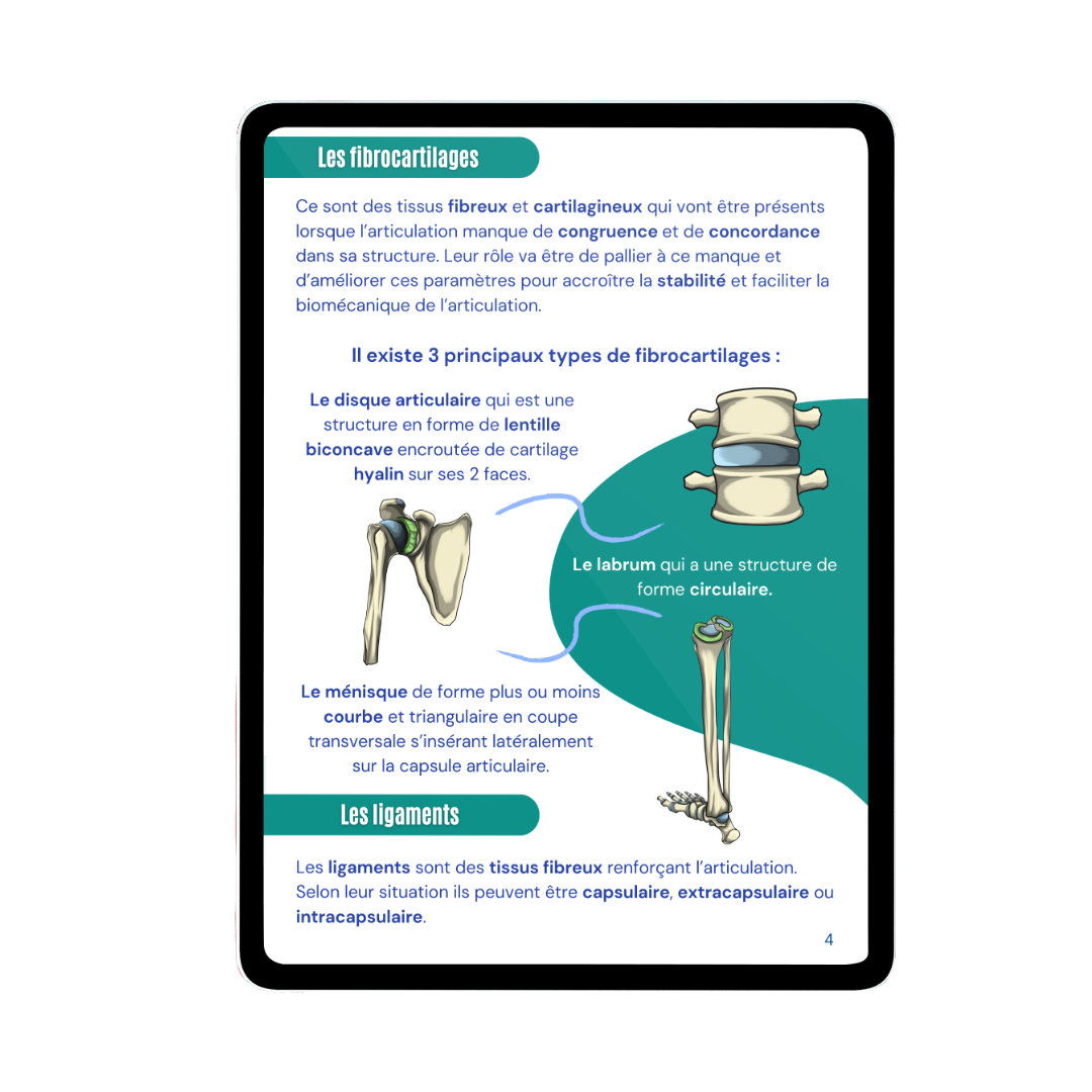 Arthrologie - Membre supérieur