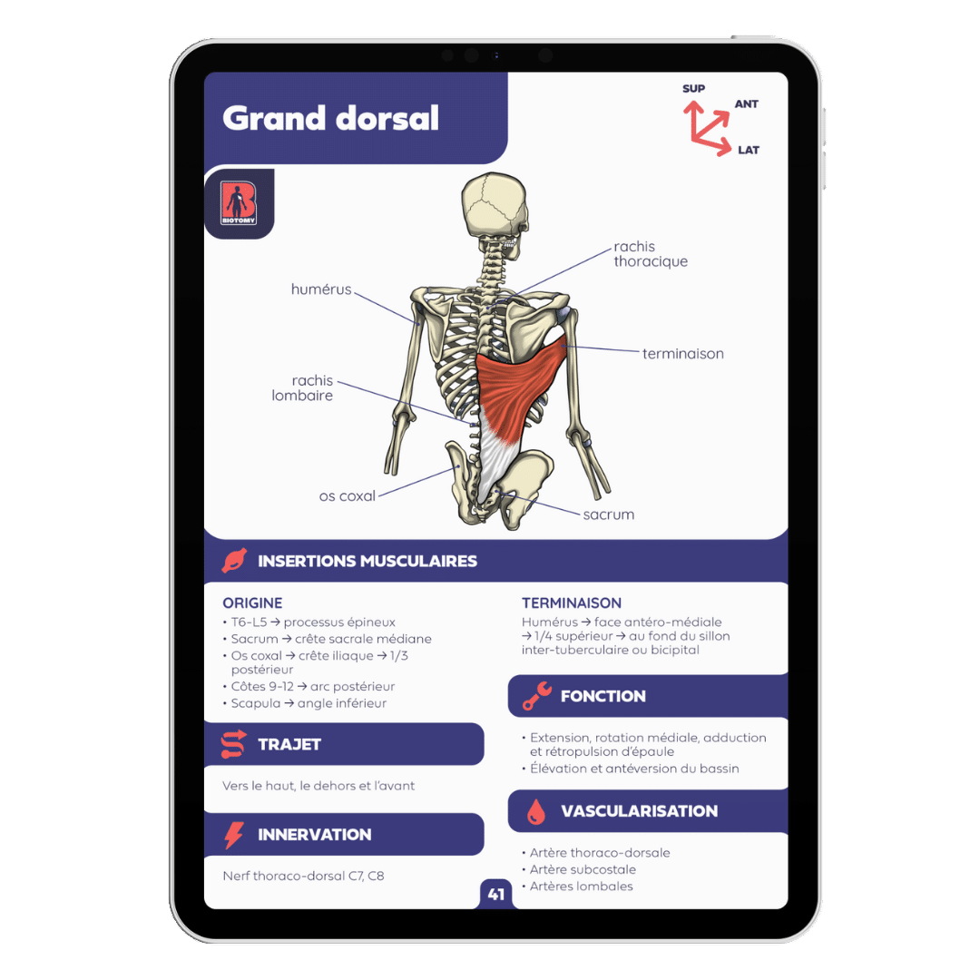 Fiches de révision